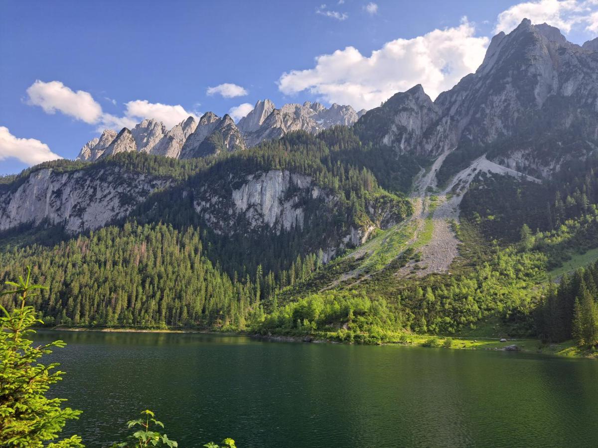 Gasthof Waldwirt Русбах-ам-Пас-Гшютт Экстерьер фото